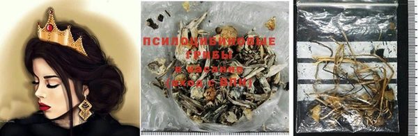 ALPHA PVP Гусиноозёрск
